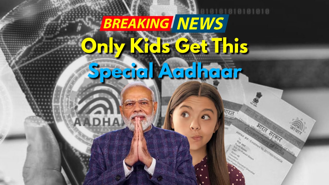Blue Aadhaar Card