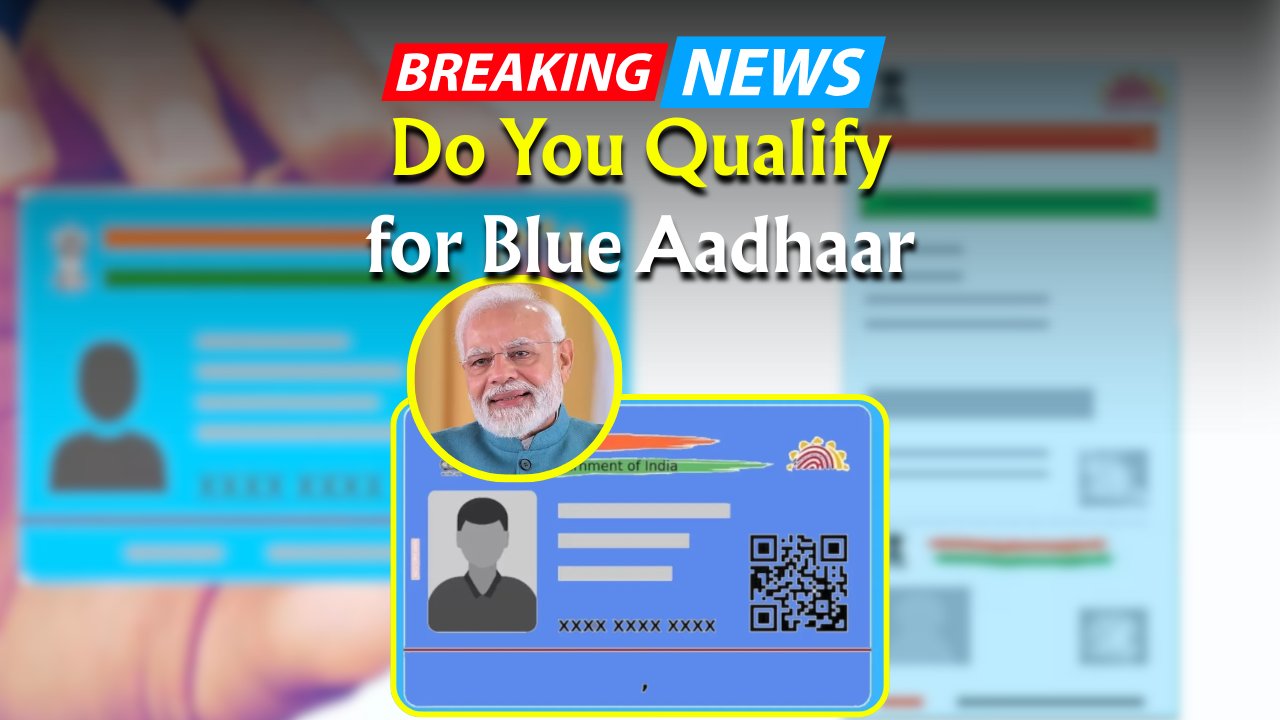 Blue Aadhaar Card