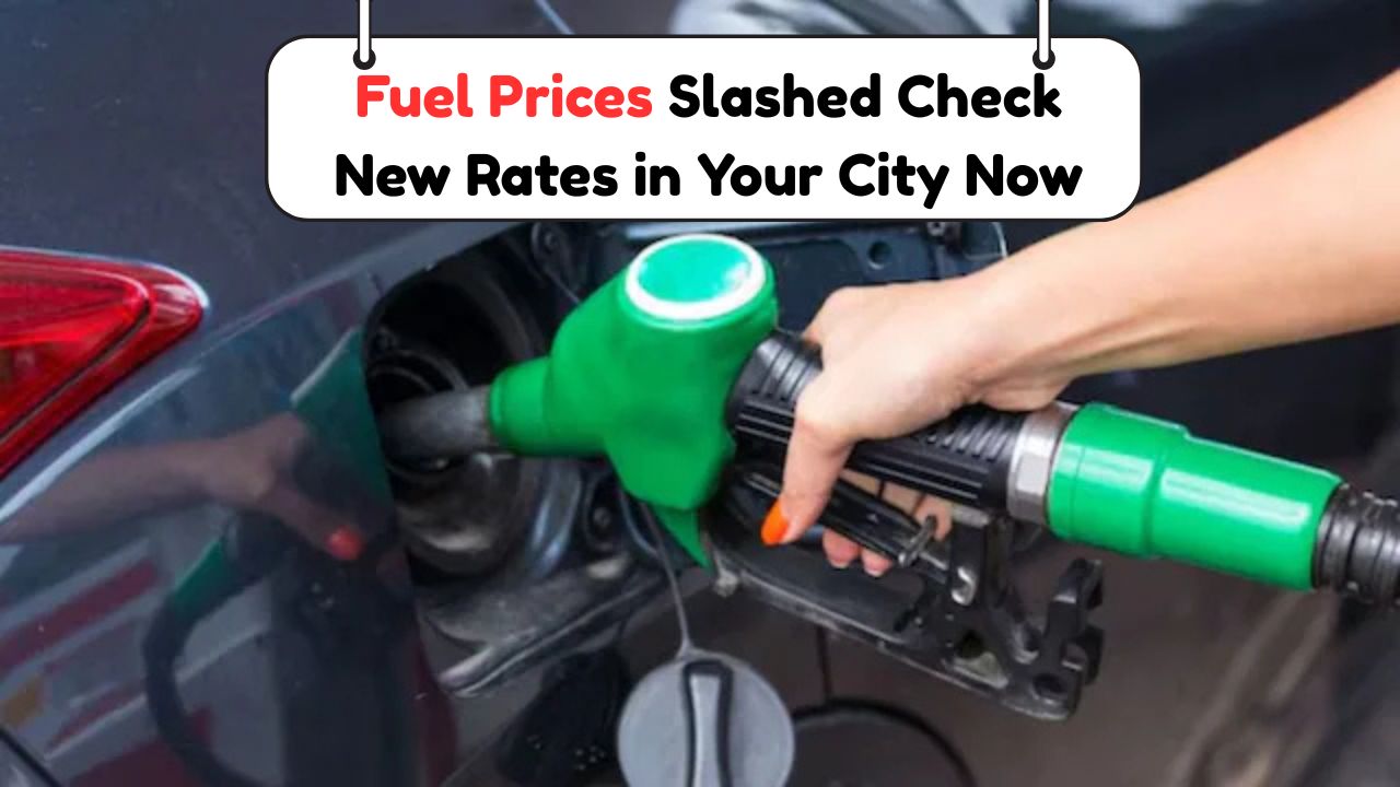 Fuel Prices Slashed!