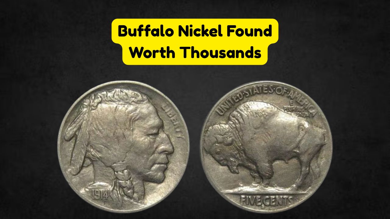 Buffalo Nickel Value